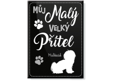 Nekupto Pets magnet Maltézsky psík 66 x 90 x 2 mm