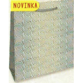 Nekupto Dárková papírová taška hologram 32 x 26 x 13 cm Stříbrná 123 02 THL