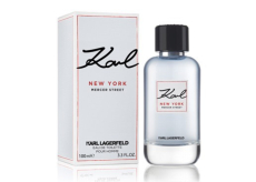 Karl Lagerfeld Karl New York Mercer Street toaletná voda pre mužov 100 ml