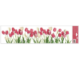 Okenné fólie bez lepidla pruhy Tulipány 64 x 15 cm
