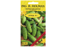 Holman F1 Jitka uhorky 2,5 g