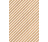 Ditipo Darčekový baliaci papier 70 x 200 cm KRAFT biele pruhy