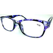 Berkeley Čtecí dioptrické brýle +4 plast černo-fialové 1 kus MC2197