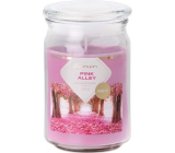 Emocio Pink Alley - Růžová alej vonná svíčka sklo se skleněným víčkem 453 g 93 x 142 mm