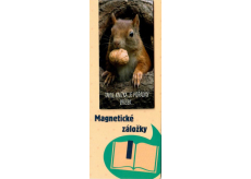 Albi Magnetická záložka do knižky Veverička s orieškom 8,7 x 4,4 cm