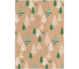 Ditipo Darčekový baliaci papier 70 x 200 cm Vianočný KRAFT Zelené, béžovej stromčeky