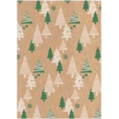 Ditipo Darčekový baliaci papier 70 x 200 cm Vianočný KRAFT Zelené, béžovej stromčeky