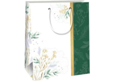 Ditipo Papierová darčeková taška 18 x 22,7 x 10 cm Zelený pruh