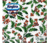 Regina Papírové ubrousky 1 vrstvé 33 x 33 cm 20 kusů Vánoční bílé cesmína