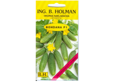 Holman F1 Bohdana uhorky 2,5 g