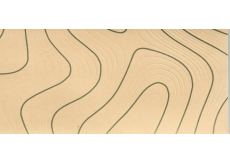 Albi Blahoprajná karta - obálka na peniaze, kresba dreva 9 x 19 cm