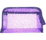 Etue Transparentná kozmetická taška fialová 25 x 16 x 6 cm 1 kus
