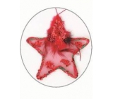 Hviezdička s pierkom a flitrami červená na zavesenie 11 cm