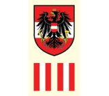 Arch Tetovací obtisky na obličej i tělo Rakousko vlajka 2 motiv