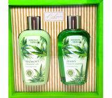 Bohemia Gifts Konopný olej sprchový gél 250 ml + šampón na vlasy 250 ml, kozmetická sada