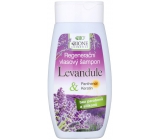 Bion Cosmetics Levanduľa & Panthenol, Keratín regeneračný šampón na vlasy 250 ml