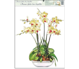 Okenné fólie bez lepidla orchidey žlto-biela 42 x 30 cm