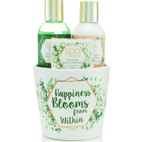 SK S & G Spa Happiness Blooms from Within telové mydlo 100 ml + telové mlieko 100 ml + kúpeľové kryštáliky 50 g, kozmetická sada v kvetináči