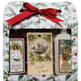 Bohemia Gifts Veselé Vianoce Vianočný sprchový gél 2 x 100 ml + karta s vôňou jablka a škorice 11 x 6,3 cm, kozmetická sada
