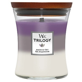 WoodWick Trilogy Amethyst Sky vonná sviečka s dreveným knôtom a skleneným viečkom stredná 275 g