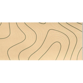 Albi Blahoprajná karta - obálka na peniaze, kresba dreva 9 x 19 cm