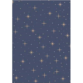 Ditipo Vianočný baliaci papier na darčeky 70 x 200 cm Kraft modrý, béžové hviezdy