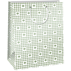 Ditipo Darčeková papierová taška 32,4 x 10,2 x 45,5 cm biela, štvorlístok QXA