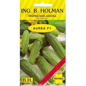 Holman F1 Aurea uhorky 2,5 g